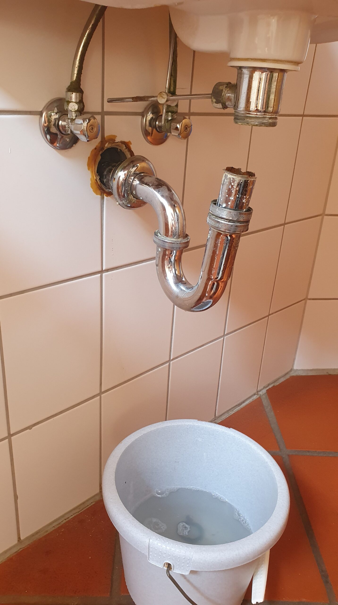Projekt